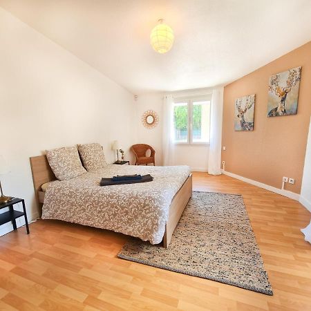 Le Zola - Appartement Spacieux - Grenoble Buitenkant foto