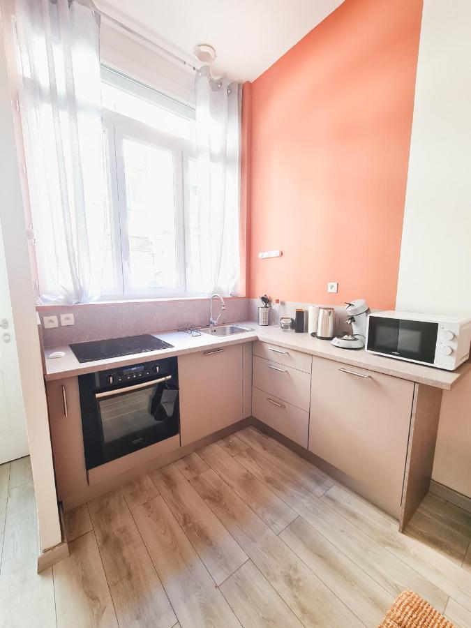 Le Zola - Appartement Spacieux - Grenoble Buitenkant foto